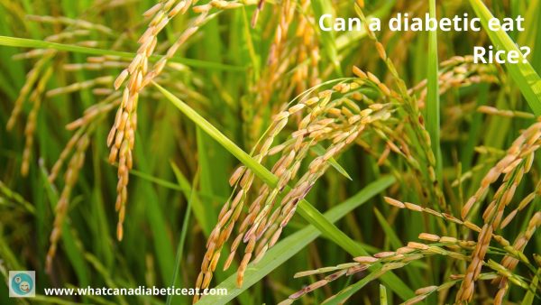 Can a diabetic eat Rice?