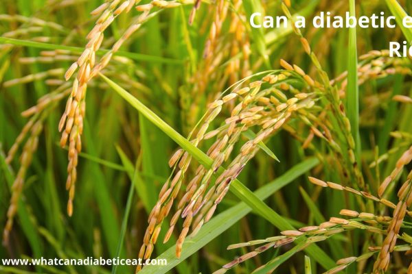 Can a diabetic eat Rice?